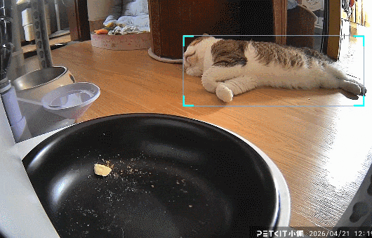 【宠物】猫为什么总是在碗里留一颗猫粮?背后原因让人意外,网友狂夸:咪咪真棒啊!(组图) - 7