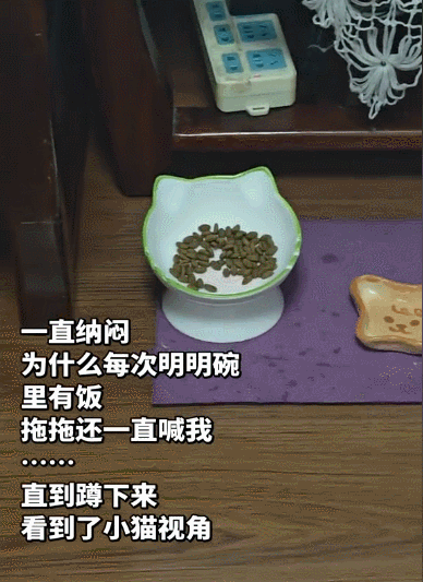 【宠物】猫为什么总是在碗里留一颗猫粮?背后原因让人意外,网友狂夸:咪咪真棒啊!(组图) - 9