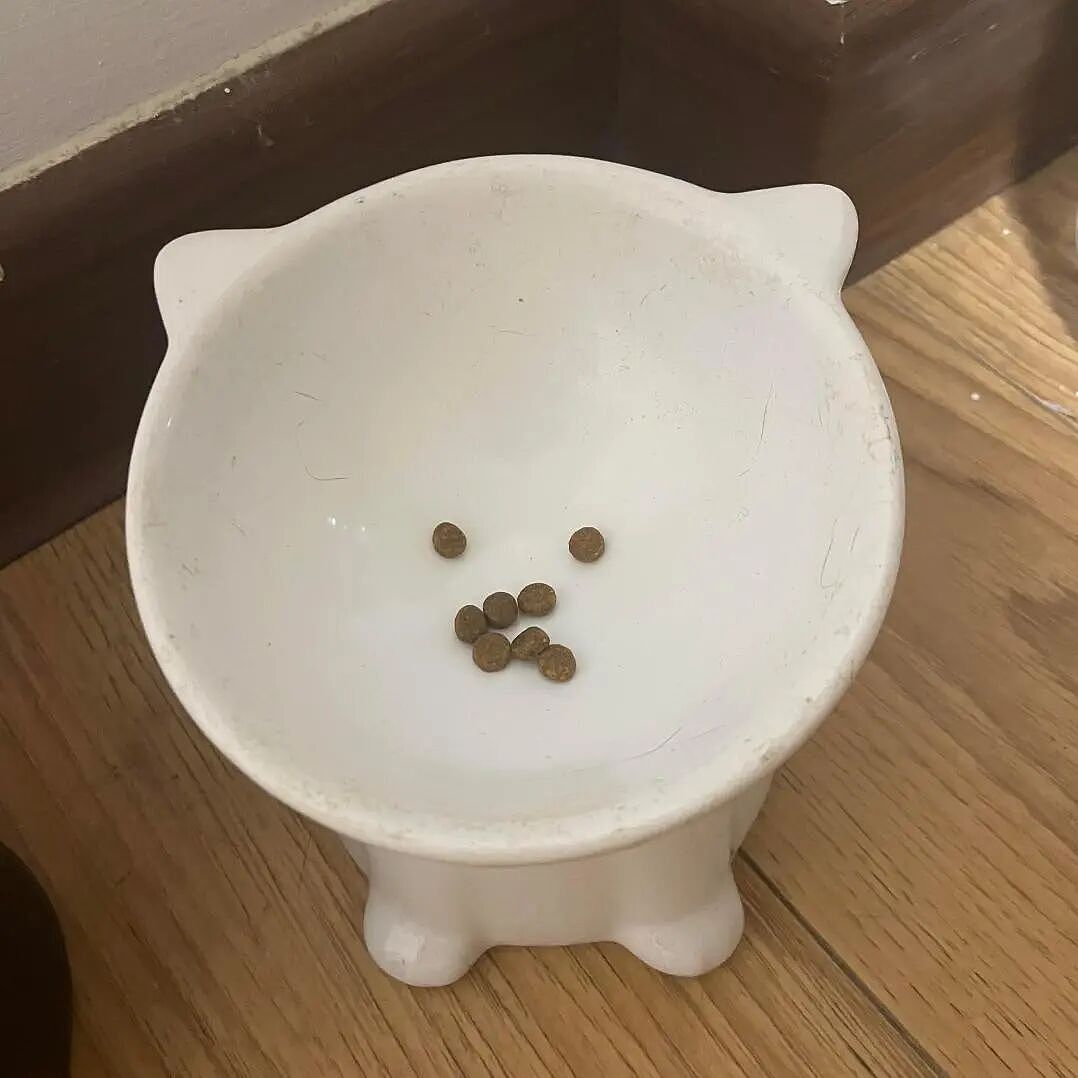 【宠物】猫为什么总是在碗里留一颗猫粮?背后原因让人意外,网友狂夸:咪咪真棒啊!(组图) - 1