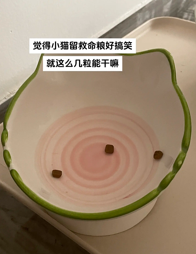 【宠物】猫为什么总是在碗里留一颗猫粮?背后原因让人意外,网友狂夸:咪咪真棒啊!(组图) - 6