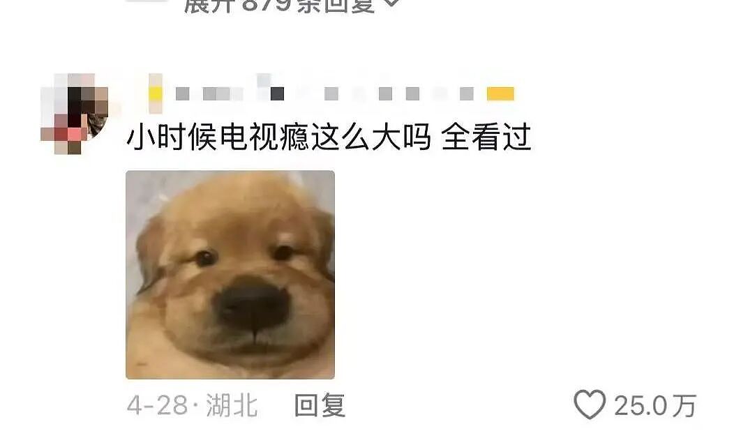 【爆笑】“为什么小时候的电视瘾这么大...?”啊啊啊原来以前看的都是细糠!(组图) - 6