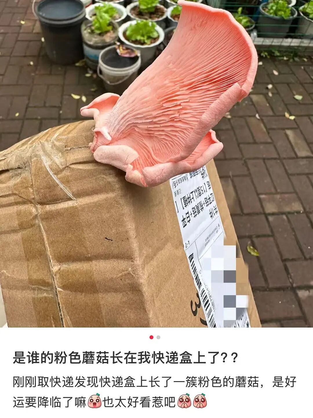 【爆笑】“给公司员工建了个家长群…？”哈哈哈把家长当死侍培养呢！（组图） - 14