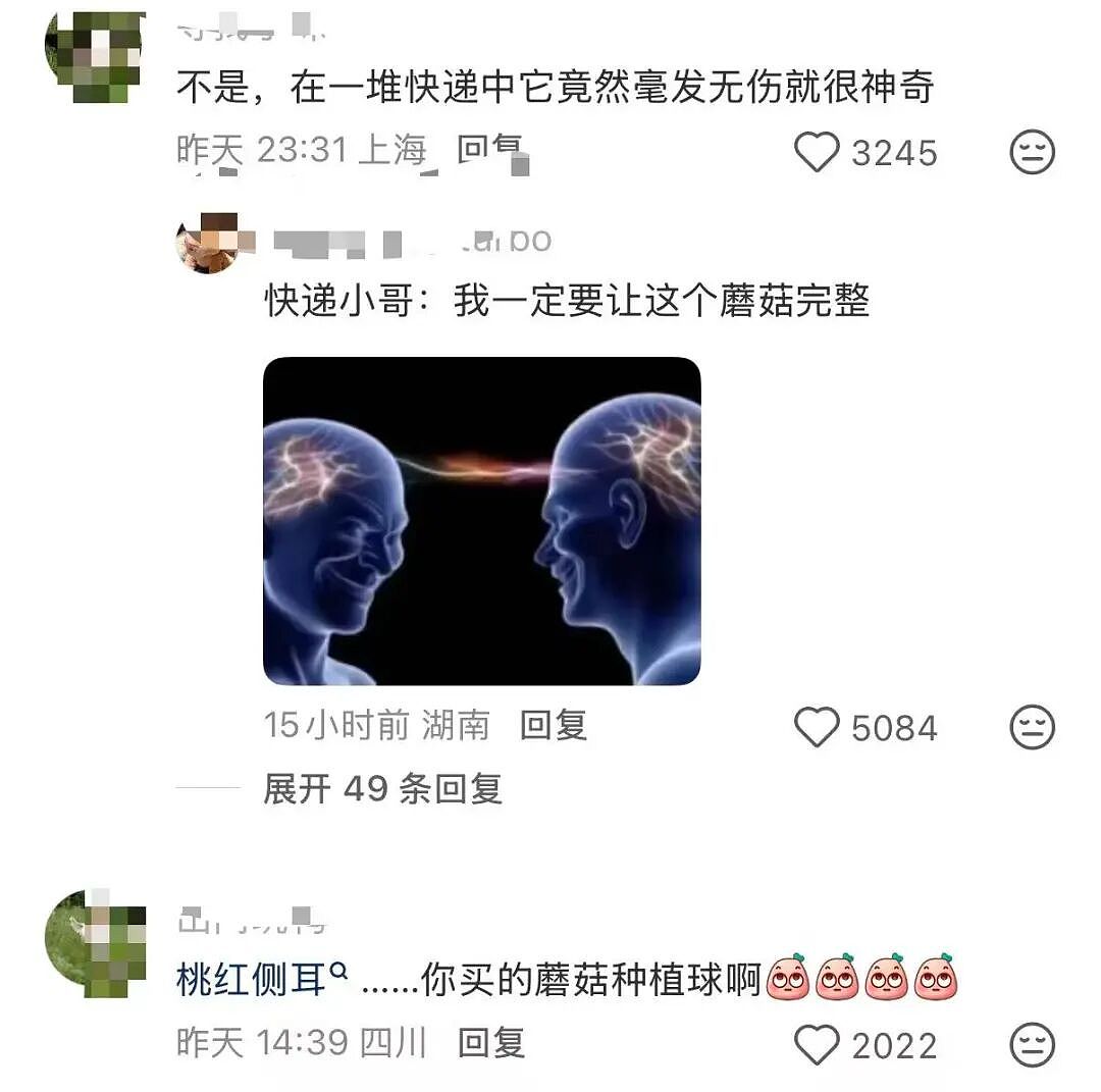 【爆笑】“给公司员工建了个家长群…？”哈哈哈把家长当死侍培养呢！（组图） - 15