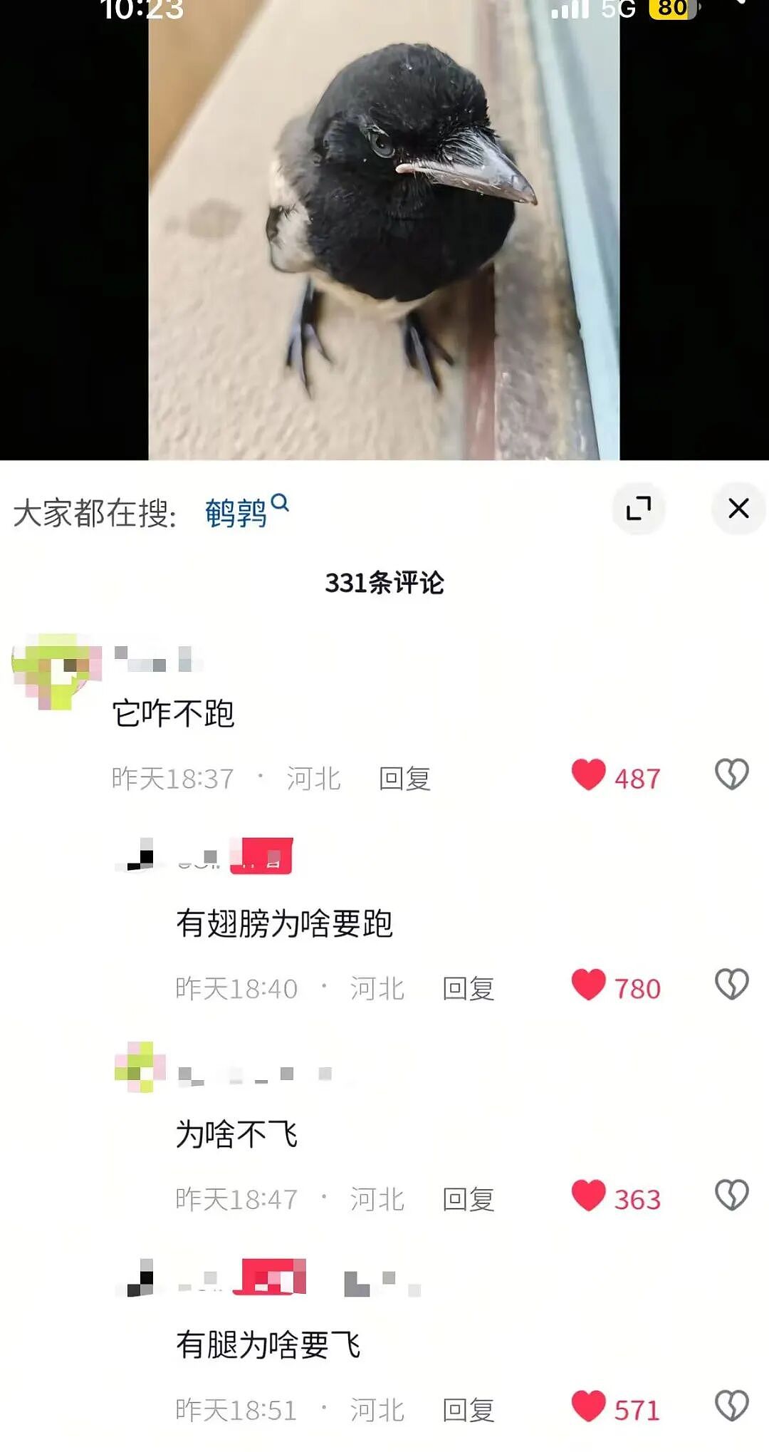 【爆笑】“给公司员工建了个家长群…？”哈哈哈把家长当死侍培养呢！（组图） - 72