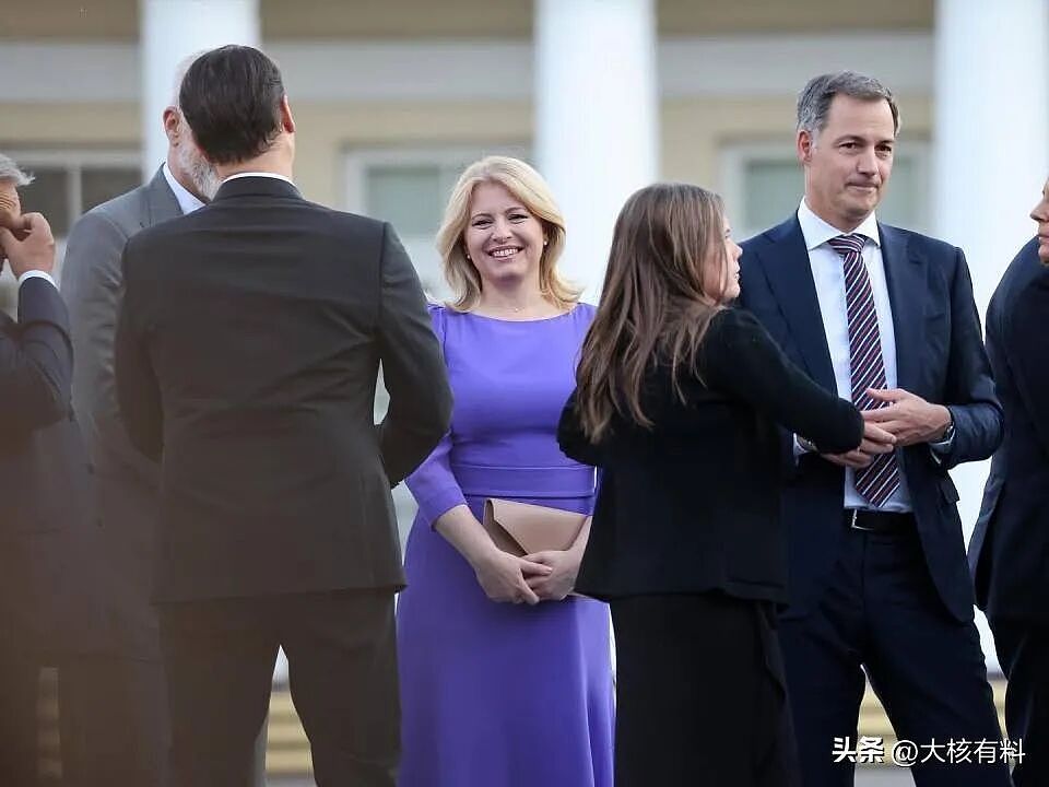 国家首位美女总统，身材丰腴穿紧身裙，离婚带俩娃零政治基础（组图） - 2
