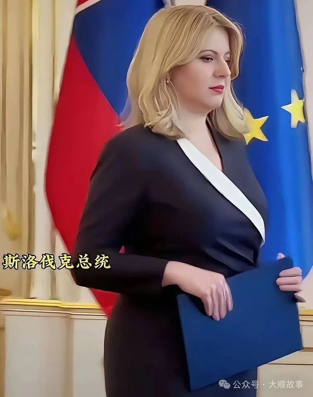 国家首位美女总统，身材丰腴穿紧身裙，离婚带俩娃零政治基础（组图） - 1