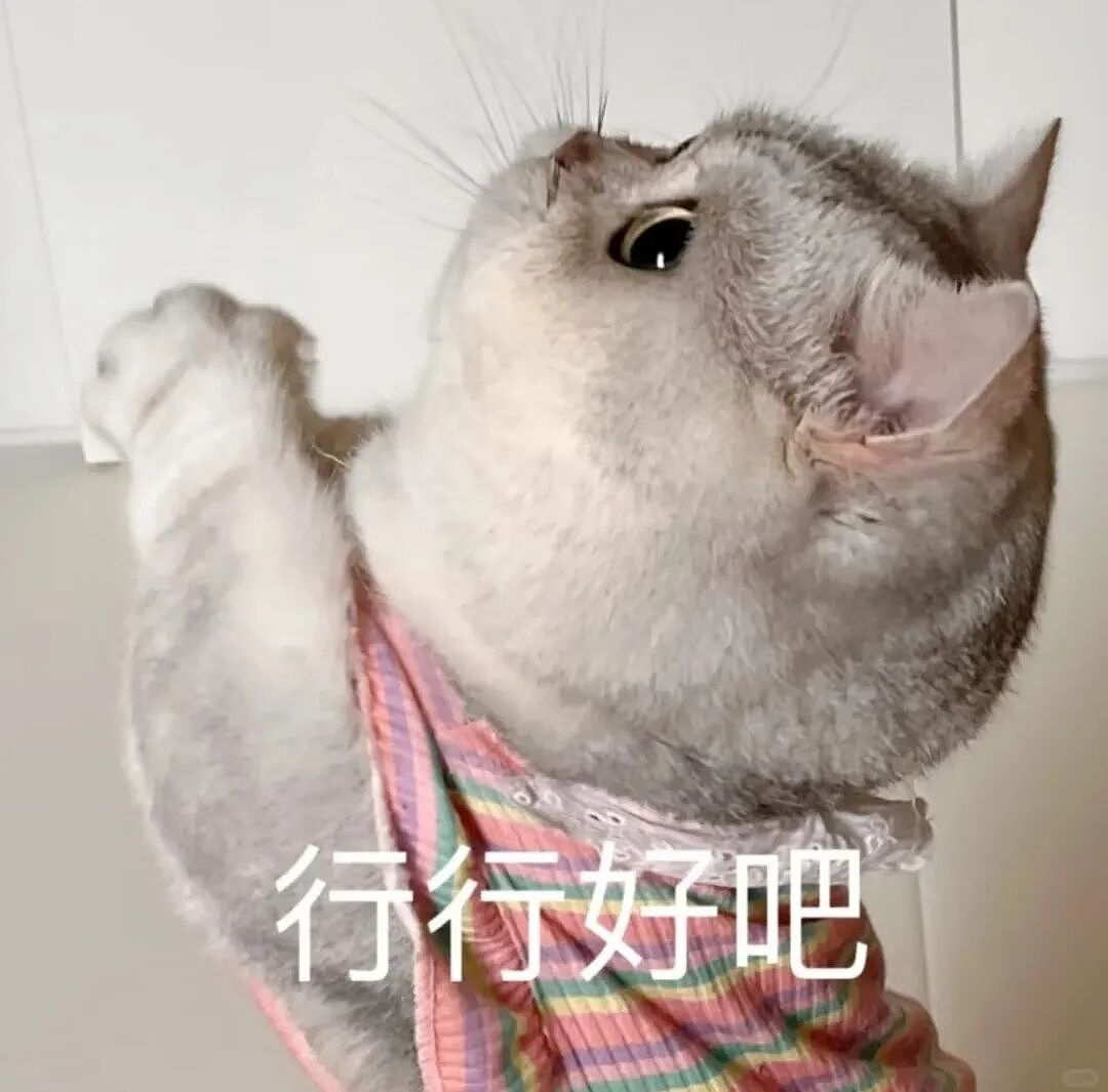 【宠物】缅因猫在厨房锅里拉屎，主人哭着原谅，网友一看图：真不怪它啊！（组图） - 18