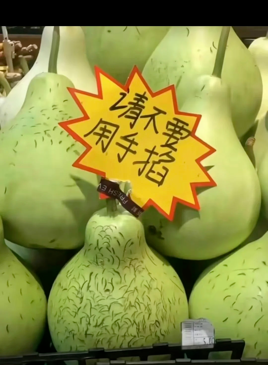 笑断气的幽默搞笑段子,看一次笑一次(组图) - 8