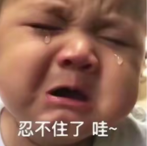 【宠物】奶奶带狗子来吃席，还专门让它坐一个位置，狗子满脸嘚瑟…狗子：世子之争，向来如此！（组图） - 4