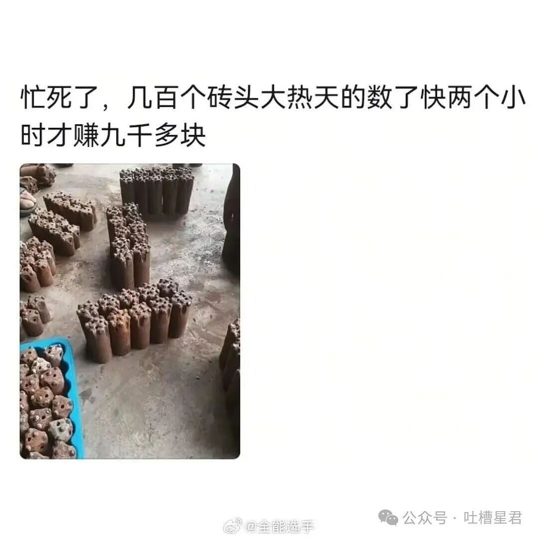 【爆笑】“看起来不体面的工作能挣多少钱...？”哈哈哈早知道不心疼你们了！（组图） - 11