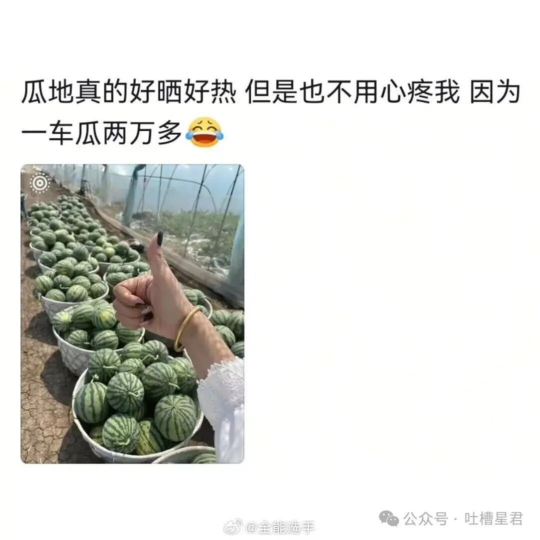 【爆笑】“看起来不体面的工作能挣多少钱...？”哈哈哈早知道不心疼你们了！（组图） - 8
