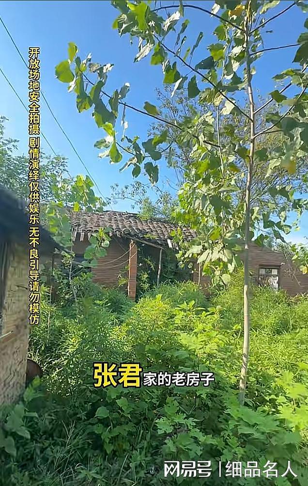 她是悍匪张君的情妇，为张君生下一个女儿，出狱后人生现状如何？（组图） - 5