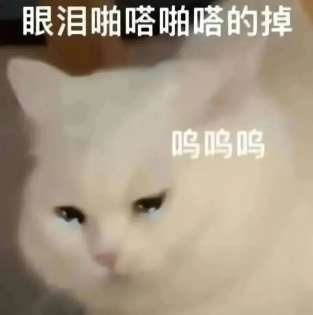 【宠物】路边墙上贴着“绝世大坏猫”通缉令，小哥正疑惑是什么滔天大罪，一看两位嫌疑猫的表情就懂了....（组图） - 1