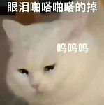 【宠物】路边墙上贴着“绝世大坏猫”通缉令，小哥正疑惑是什么滔天大罪，一看两位嫌疑猫的表情就懂了....（组图）