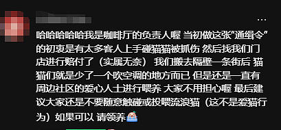 【宠物】路边墙上贴着“绝世大坏猫”通缉令，小哥正疑惑是什么滔天大罪，一看两位嫌疑猫的表情就懂了....（组图） - 4