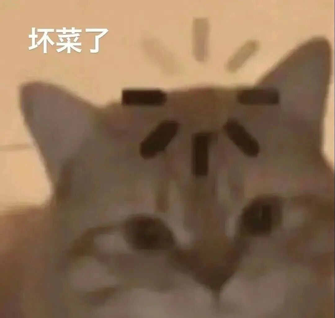 【宠物】路边墙上贴着“绝世大坏猫”通缉令，小哥正疑惑是什么滔天大罪，一看两位嫌疑猫的表情就懂了....（组图） - 18
