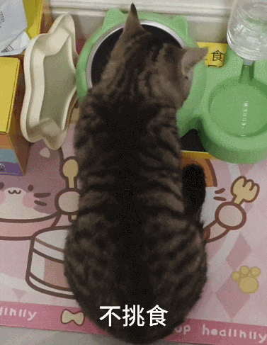 【宠物】小姐姐炫耀捡到一只灵珠猫,网友看清小猫花色后纷纷质疑:我不信,除非送它来我家!(组图) - 11