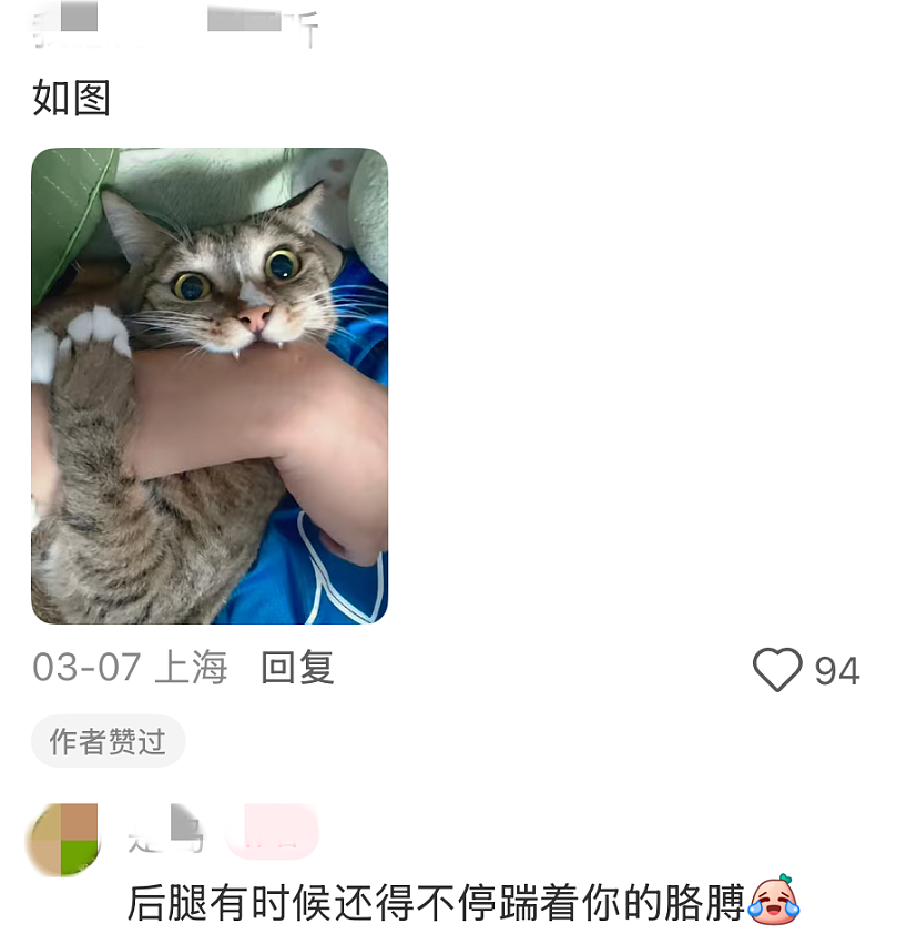【宠物】小姐姐炫耀捡到一只灵珠猫,网友看清小猫花色后纷纷质疑:我不信,除非送它来我家!(组图) - 18