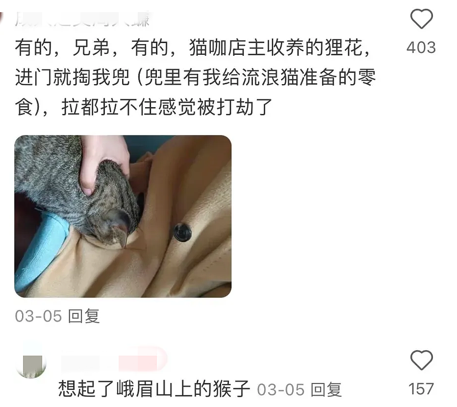 【宠物】小姐姐炫耀捡到一只灵珠猫,网友看清小猫花色后纷纷质疑:我不信,除非送它来我家!(组图) - 20