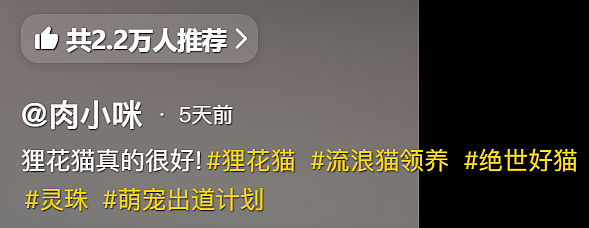 【宠物】小姐姐炫耀捡到一只灵珠猫,网友看清小猫花色后纷纷质疑:我不信,除非送它来我家!(组图) - 1