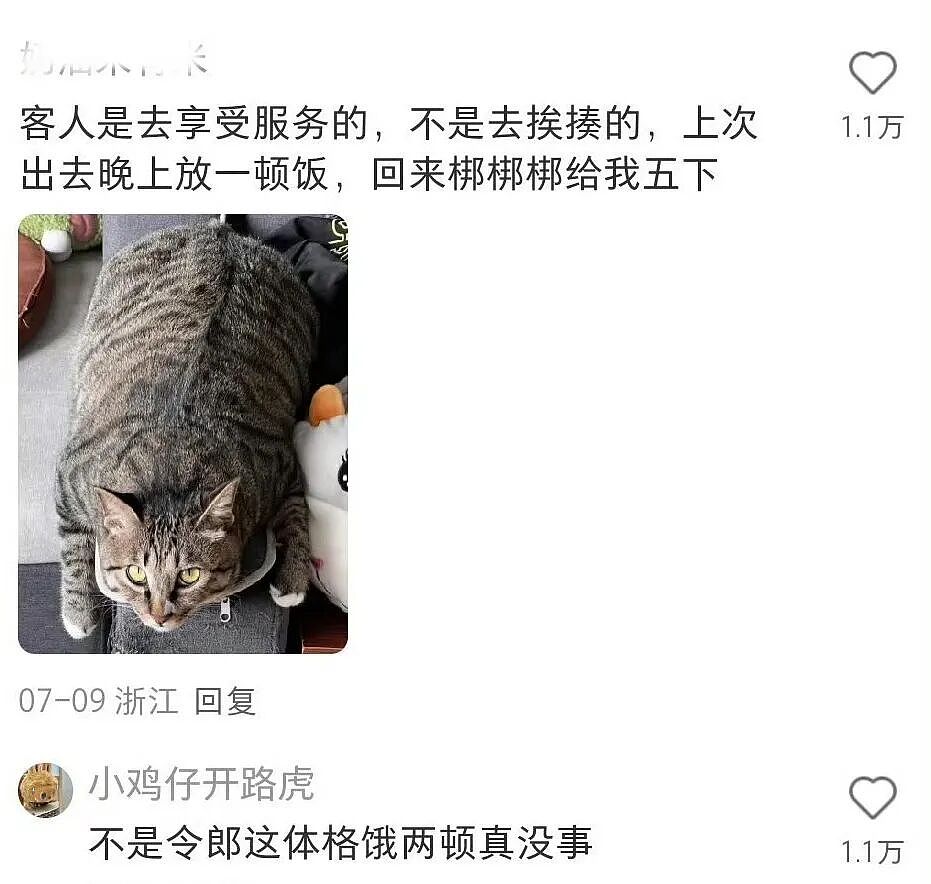 【宠物】小姐姐炫耀捡到一只灵珠猫,网友看清小猫花色后纷纷质疑:我不信,除非送它来我家!(组图) - 17
