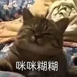 【宠物】小姐姐炫耀捡到一只灵珠猫,网友看清小猫花色后纷纷质疑:我不信,除非送它来我家!(组图) - 22