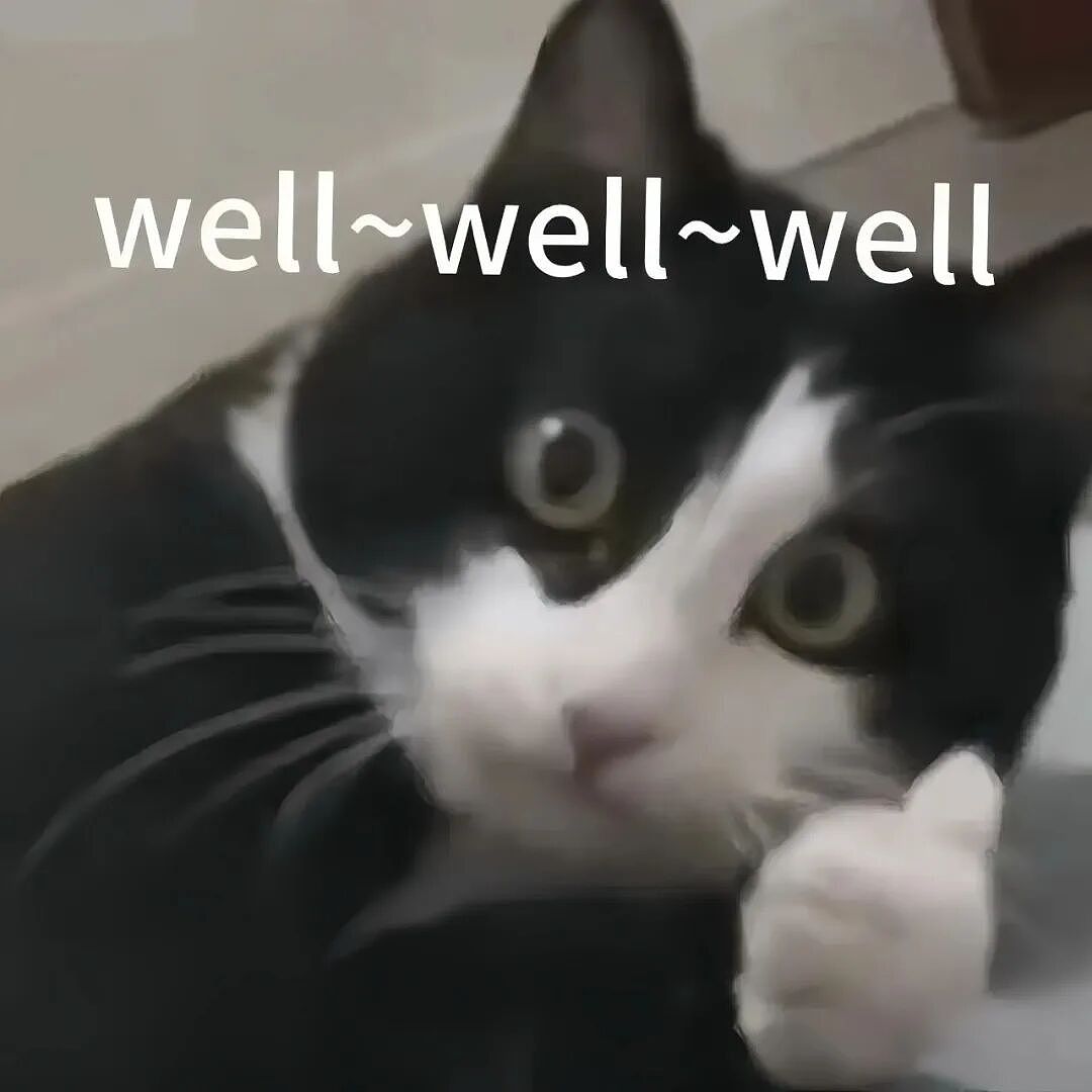 【宠物】妹子小区遛猫,流浪猫冲上来又搂又抱还想叼走小猫…以为猫发情气炸了,结果真相竟是:人家是来见义勇为的!(组图) - 14