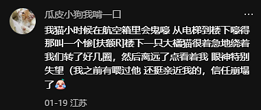 【宠物】妹子小区遛猫,流浪猫冲上来又搂又抱还想叼走小猫…以为猫发情气炸了,结果真相竟是:人家是来见义勇为的!(组图) - 8
