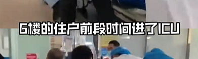 【宠物】妹子小区遛猫,流浪猫冲上来又搂又抱还想叼走小猫…以为猫发情气炸了,结果真相竟是:人家是来见义勇为的!(组图) - 11