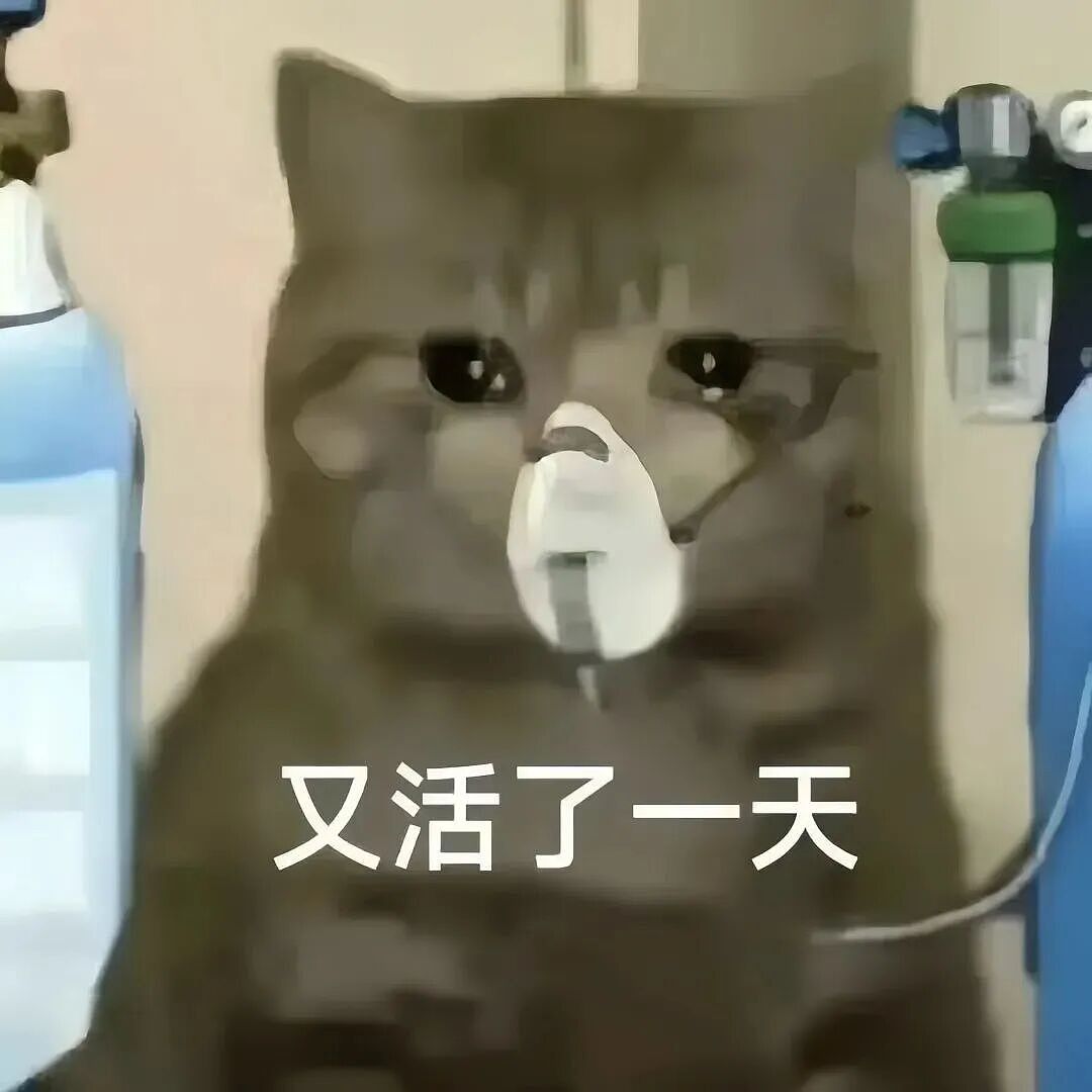 【宠物】妹子小区遛猫,流浪猫冲上来又搂又抱还想叼走小猫…以为猫发情气炸了,结果真相竟是:人家是来见义勇为的!(组图) - 13