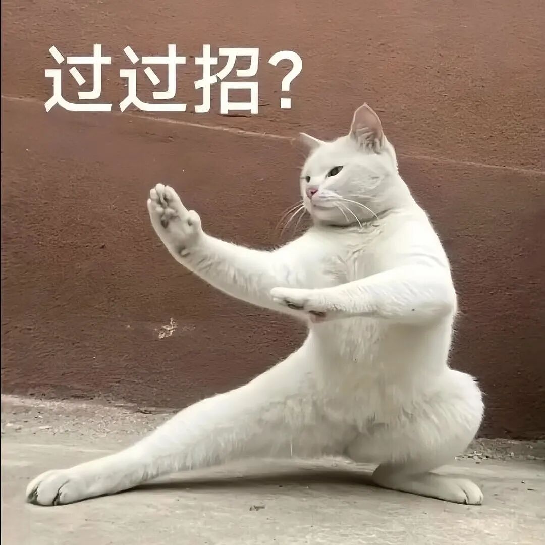 【宠物】妹子小区遛猫,流浪猫冲上来又搂又抱还想叼走小猫…以为猫发情气炸了,结果真相竟是:人家是来见义勇为的!(组图) - 6