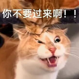 【宠物】妹子小区遛猫,流浪猫冲上来又搂又抱还想叼走小猫…以为猫发情气炸了,结果真相竟是:人家是来见义勇为的!(组图) - 4