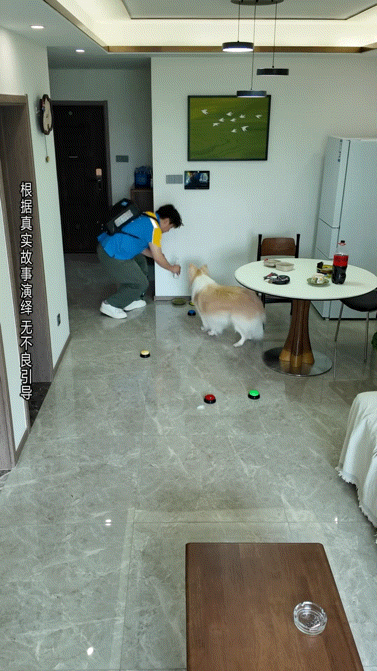 博主遇到只热情金毛,想摸却害怕被咬便拒绝,谁知它竟然…网友震惊:引导型小狗(组图) - 12