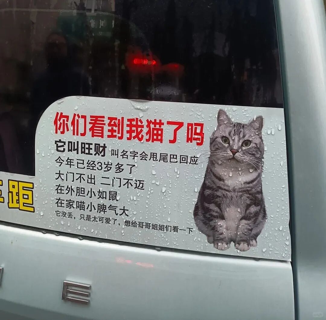 【宠物】浴足店老板为了晒猫，直接拿猫图和名字开店，招牌好搞笑哈哈哈，网友：能让猫师傅给我服务吗？（组图） - 7