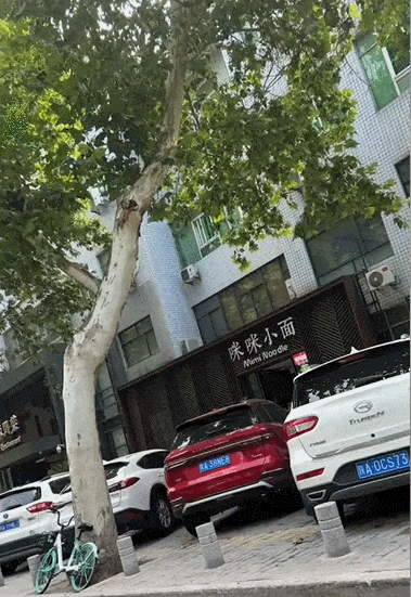 【宠物】浴足店老板为了晒猫，直接拿猫图和名字开店，招牌好搞笑哈哈哈，网友：能让猫师傅给我服务吗？（组图） - 5