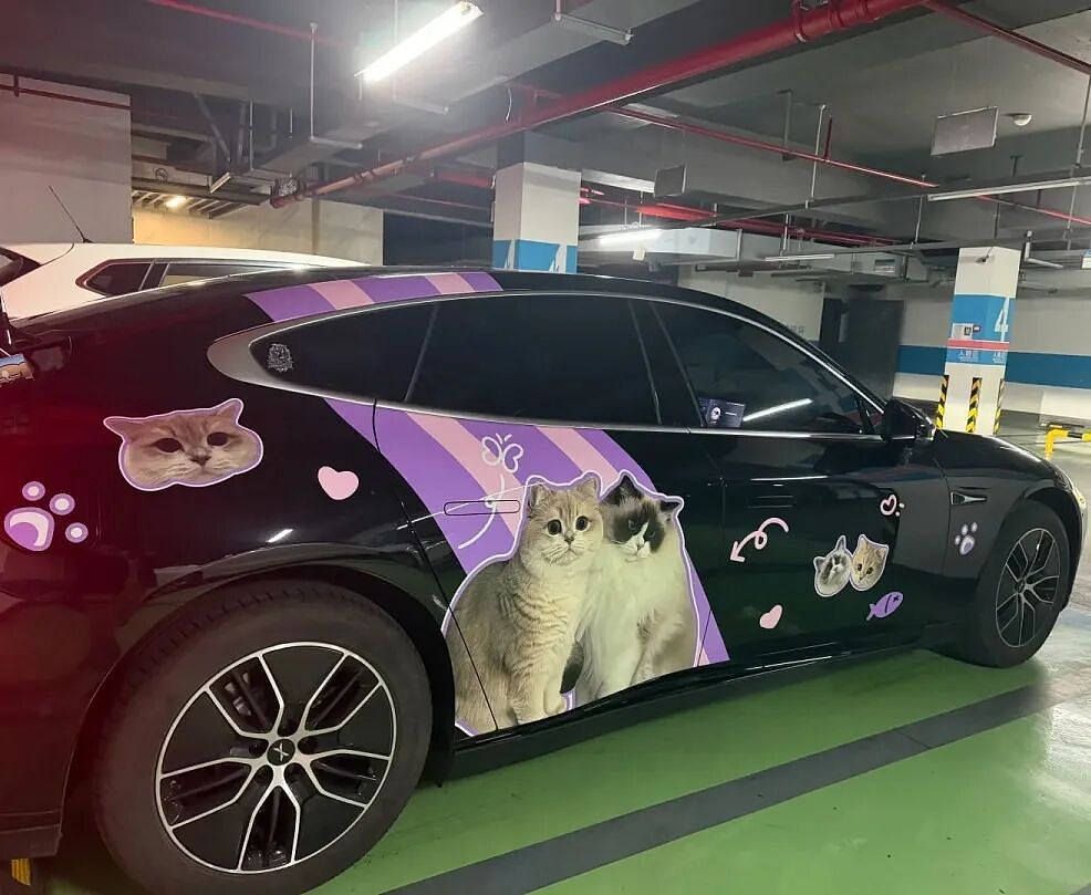 【宠物】浴足店老板为了晒猫，直接拿猫图和名字开店，招牌好搞笑哈哈哈，网友：能让猫师傅给我服务吗？（组图） - 8