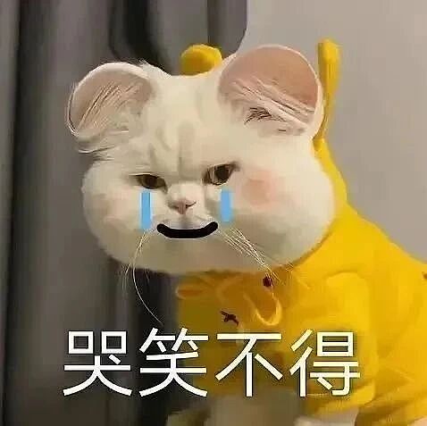 【爆笑】“缘分究竟有多神奇...？”啊啊啊有一种妙不可言的感觉！（组图） - 1
