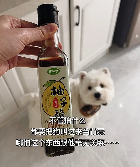 【宠物】浴足店老板为了晒猫，直接拿猫图和名字开店，招牌好搞笑哈哈哈，网友：能让猫师傅给我服务吗？（组图） - 10