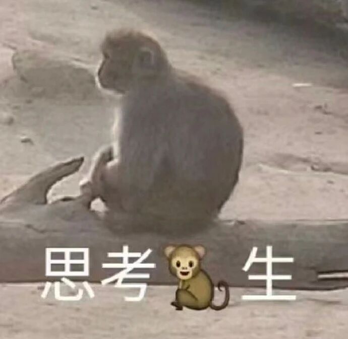 【爆笑】“缘分究竟有多神奇...？”啊啊啊有一种妙不可言的感觉！（组图） - 13