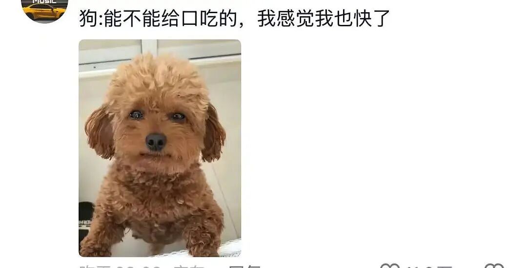 【爆笑】“帮公司省10万到手奖励200块…?”啊啊啊降本增效降到自己头上了!(组图) - 68