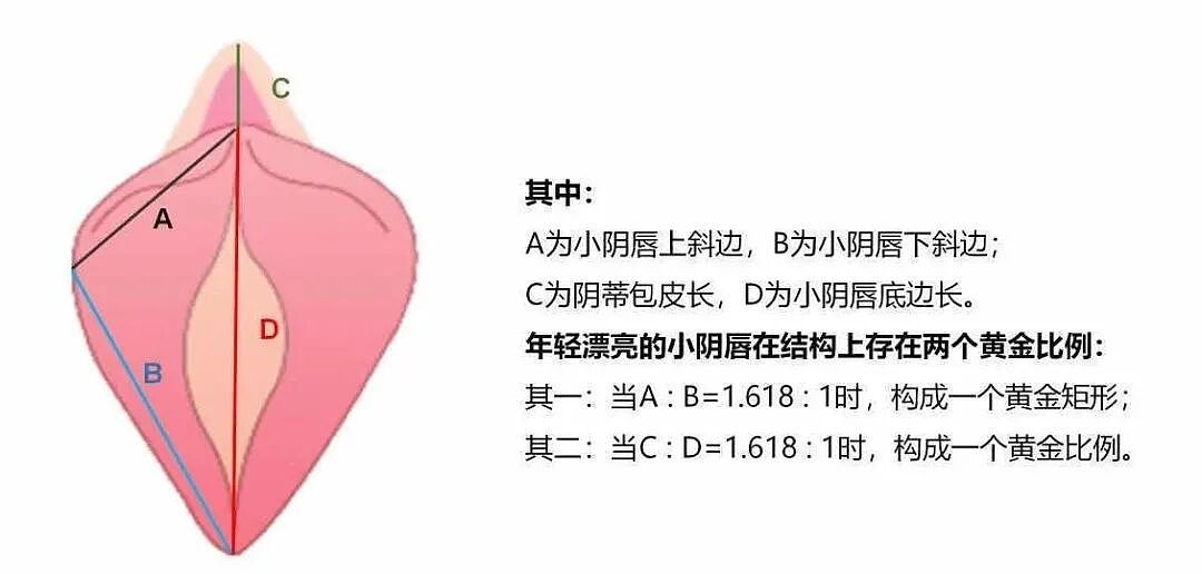 【两性】性爱学堂:男女必备的性技巧大公开!(组图) - 6