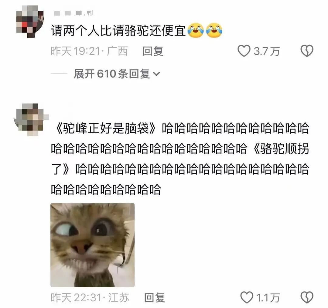【爆笑】“帮公司省10万到手奖励200块…?”啊啊啊降本增效降到自己头上了!(组图) - 35