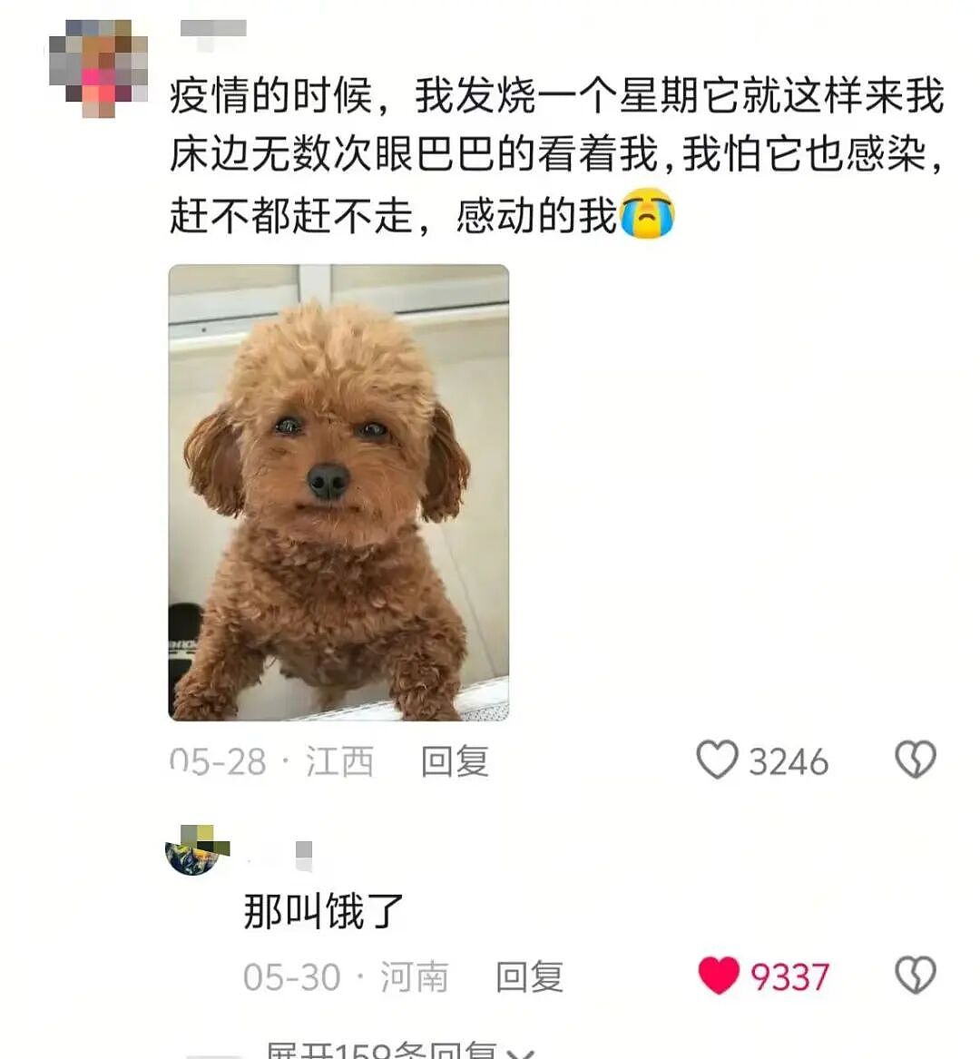 【爆笑】“帮公司省10万到手奖励200块…？”啊啊啊降本增效降到自己头上了！（组图） - 67