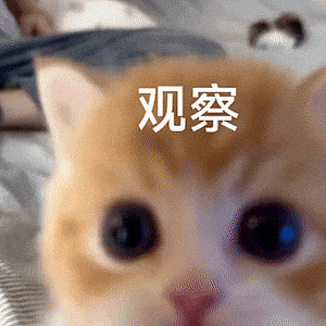 【宠物】布偶猫爸猫妈都是颜值天花板,结果却生出只长脸毛的无毛猫??网友看后都沉默:好像没炸的猪排...(组图) - 17