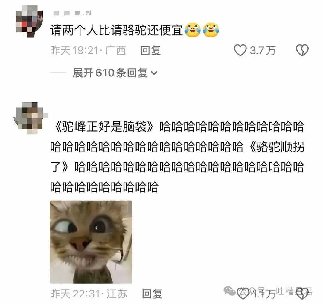 【爆笑】“帮公司省10万到手奖励200块…?”啊啊啊降本增效降到自己头上了!(组图) - 34