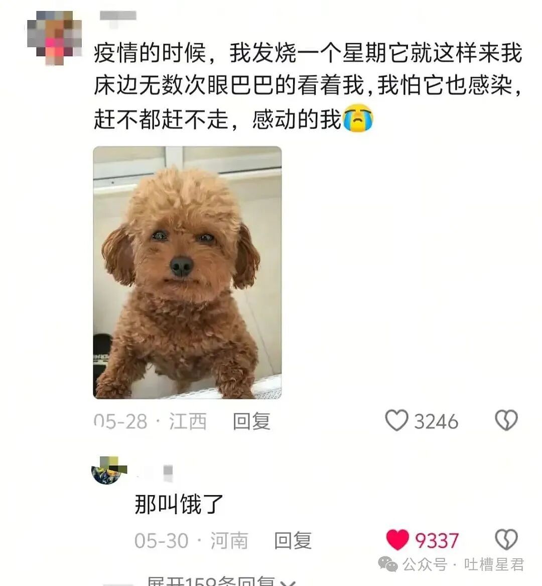 【爆笑】“帮公司省10万到手奖励200块…?”啊啊啊降本增效降到自己头上了!(组图) - 66