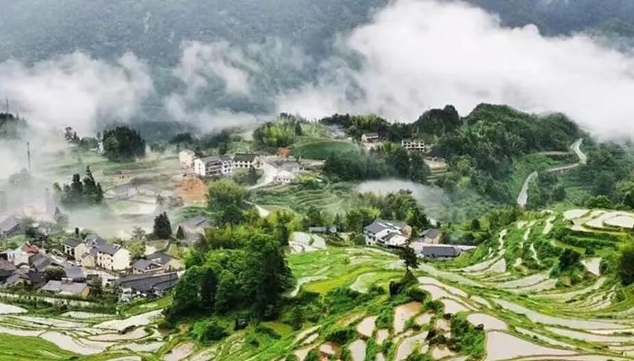 【情感】13年前,西班牙华裔富商爱上57岁农妇,舍弃亿万家产归隐山田,如今怎么样了(组图) - 14