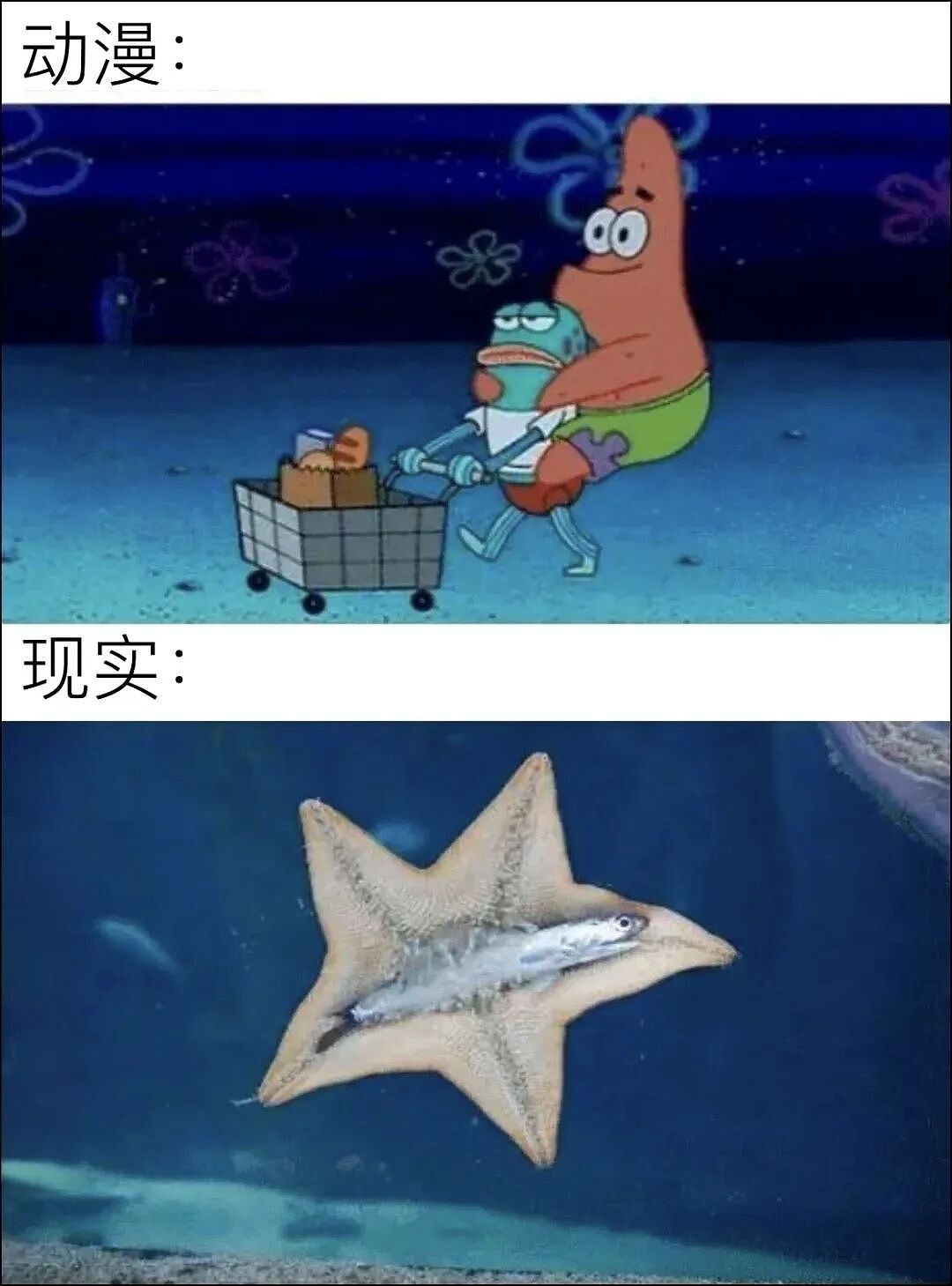 当你吃麻辣烫不小心夹多了(组图) - 1