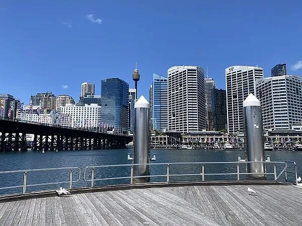 SpaceX IPO引澳资本罕见双线参投 监管放行引申购潮 《谁来建设澳大利亚的未来？》 - 1