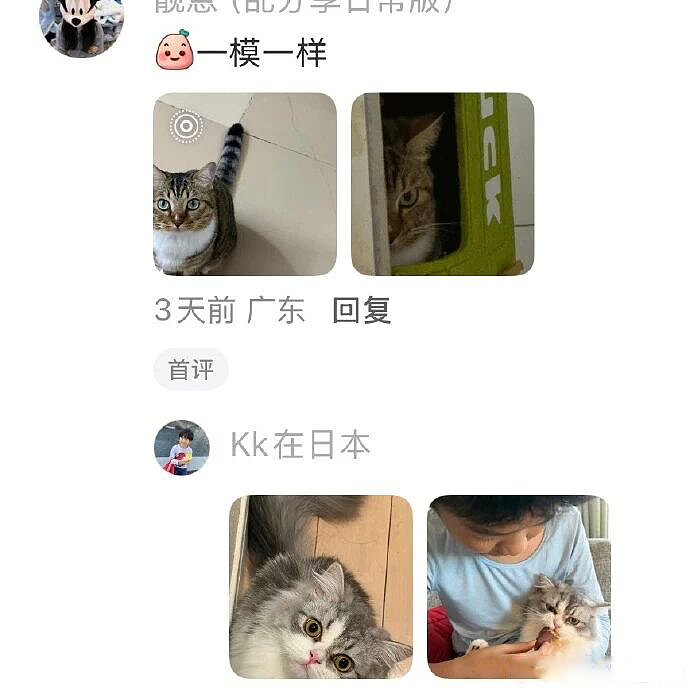一年级小朋友连吐槽都这么可爱(组图) - 5